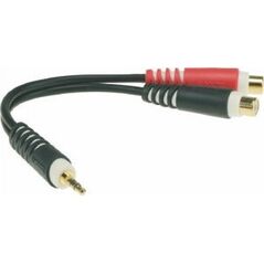 Kabel Klotz Jack 3.5mm - RCA (Cinch) x2 0.2m czarny