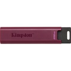 Kingston DataTraveler Max pendrive, 256 GB (DTMAXA/256 GB) 11460736