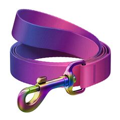 Waudog Nylon dog leash WAUDOG gradient, lgth. 122cm, purple 071061  46609 έως και 12 άτοκες δόσεις 4823089365329