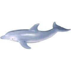 Figurka Collecta Delfin butlonosy, rozmiar M (COLL0015)