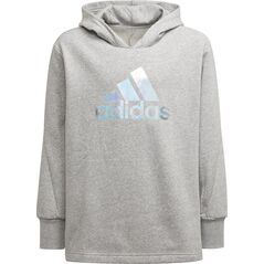 Adidas Bluza adidas G M Hoodie girls H57219 H57219 szary 164 cm 9761371 4065423290229