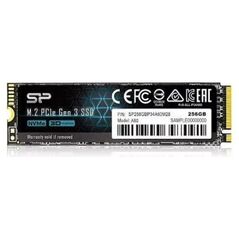 SSD 256GB M2 2280 SP NVMe 1.3 NEW