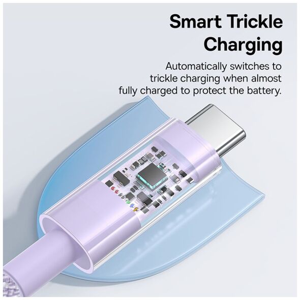 Baseus USB-C to Type-C cable, Super Fast Charging 100W, 2m - Baseus Gem (P1037373000511-01) - Nebula Purple 6932172658823 έως 12 άτοκες Δόσεις