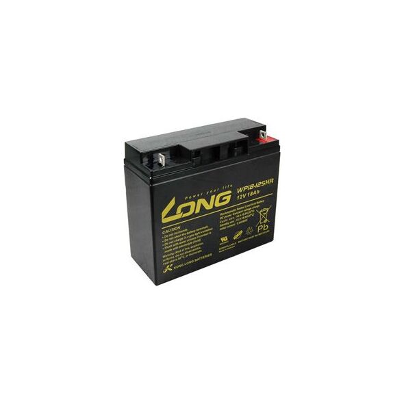 Long  12V, 18 Ah (PBLO-12V018-F3AH)