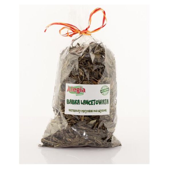 Alegia BABKA LANCETOWATA 100g