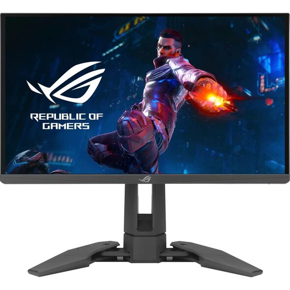 Monitor Asus ROG Swift Pro PG248QP (90LM08T0-B01370)