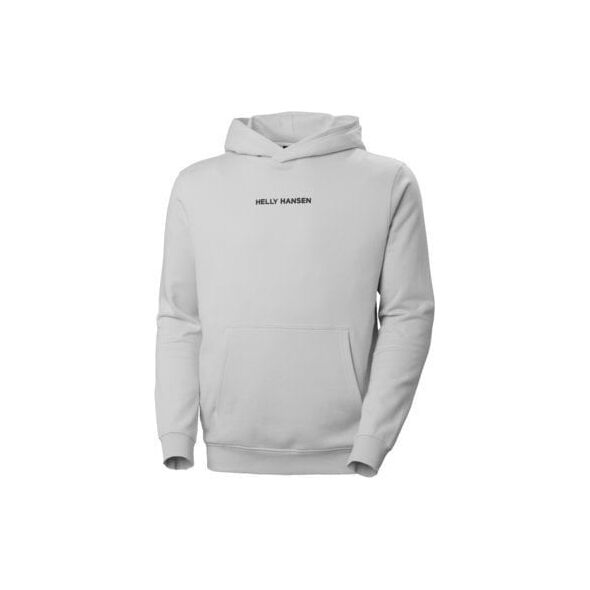 Helly Hansen Core Graphic Sweat Hoodie 53924_825 r 12655645