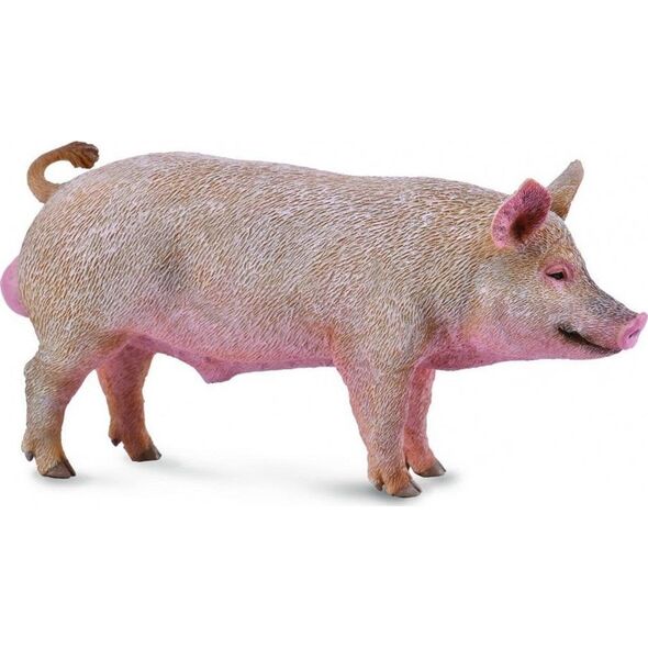 Figurka Collecta BOAR