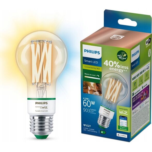 Philips Philips Żarówka z widocznym żarnikiem 60 W E27