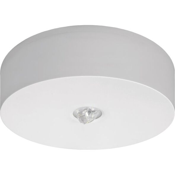 AWEX Oprawa awaryjna AXN IP65 ECO LED 1W 125lm 1h jednozadaniowa biała (AXNO/1W/ESE/X/WH ) 3375111 5901821209755