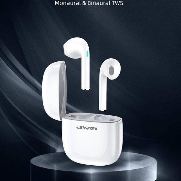 Bluetooth 5.0 TWS Headphones + AWEI Docking Station (T28) white 6954284000444