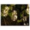 Tracer TRACER 100 LED 10 bulbs solar garden garland