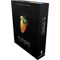 FLIGHT FL Studio 20 - Fruity Edition BOX - Oprogramowanie do produkcji muzyki