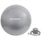 Schildkrot SF FIT GYMNASTIC BALL 65cm