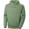 Helly Hansen Core Graphic Sweat Hoodie 408 Jade 2.0 53924_408-M