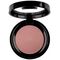 Pierre Rene Pierre Rene Professional Rouge Powder róż do policzków 02 6g