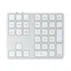 Satechi  Aluminium Extended Keypad (silver) STH155 879961008505