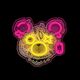 Neon ART LED PUNK TEDDY BEAR pink-yellow FLA01 Forever Light 5900495064165