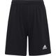 Adidas Spodenki adidas ENTRADA 22 Short Y H57502 H57502 czarny 152 cm 9860985 4065418795951