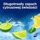 Zawieszka do WC Domestos Power 5 50g Lime (3)