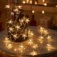 LED Garland 10m (100 LEDs) Stars Warm White 5901313585879